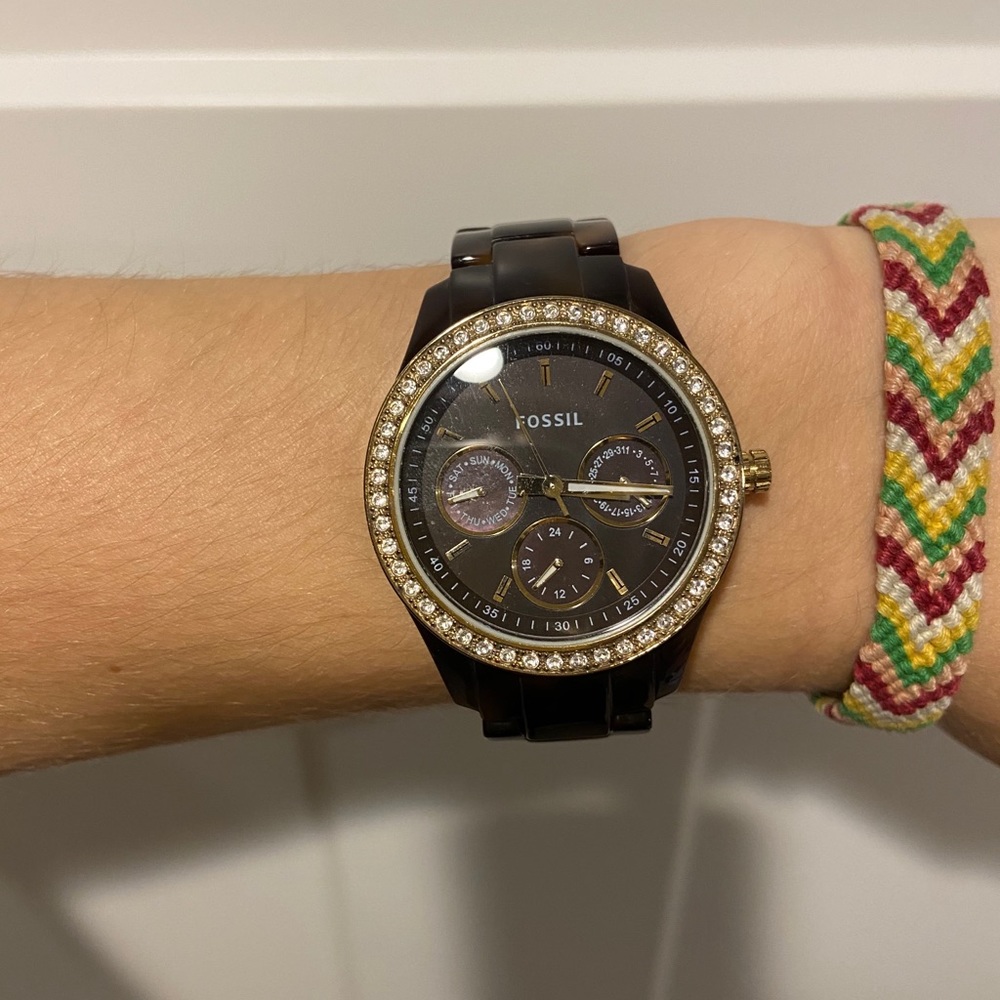 Tortoise fossil watch